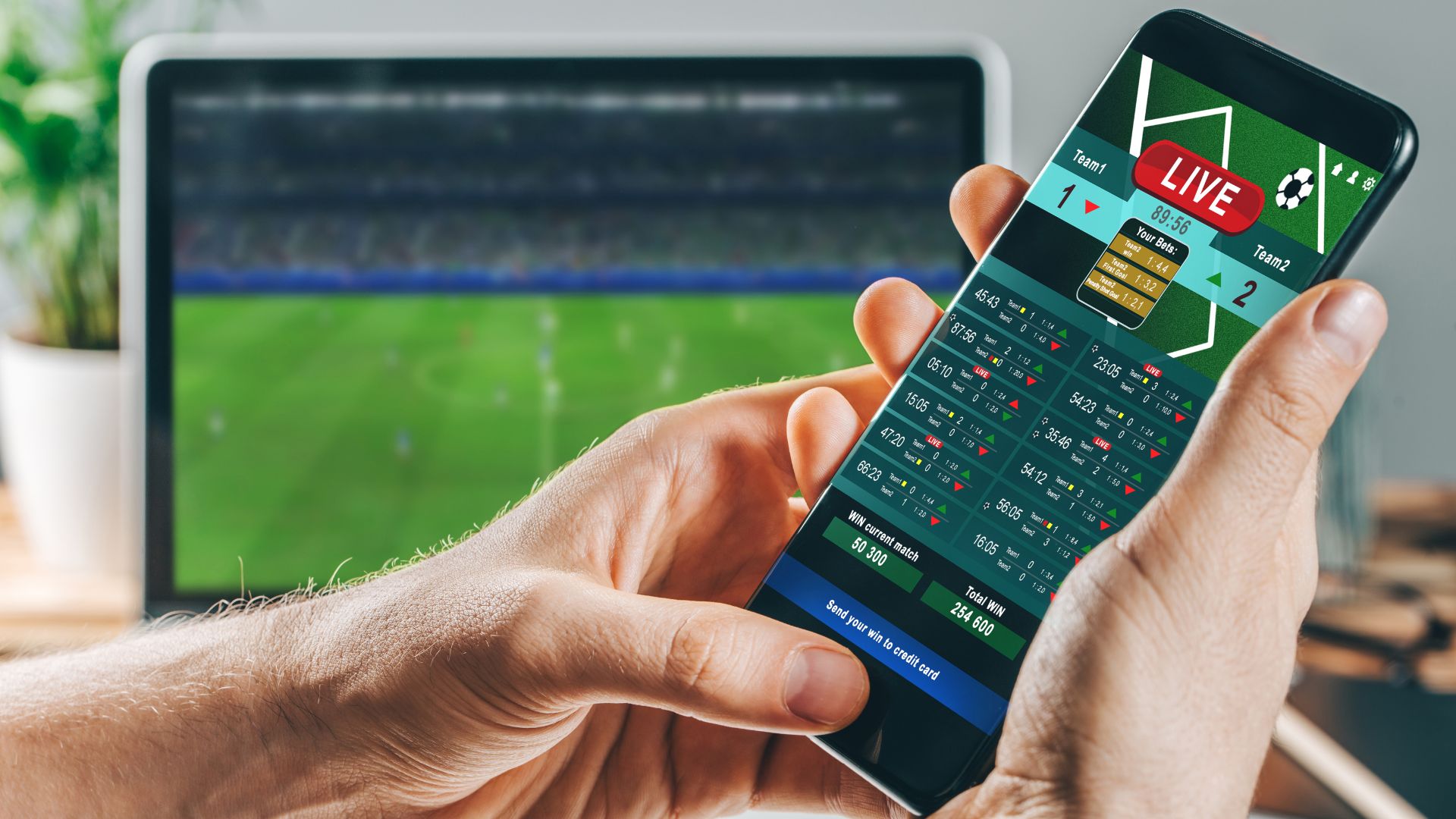 software for arbitrage betting